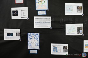 aere trampoline cup tra tum dmt ph by tomasi simone ferraro   fgi 